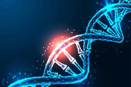 Nhờ ứng dụng công nghệ chỉnh sửa gene CRISPR, các tế bào miễn dịch có thể được biến đổi để tiêu diệt tế bào khối u hiệu quả hơn. (Nguồn: Shutterstock)