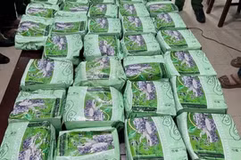Tang vật vụ án.