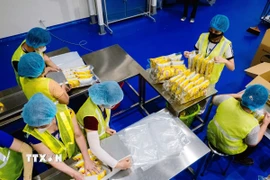 Các cơ sở sản xuất thực phẩm bảo vệ sức khỏe phải áp dụng Thực hành sản xuất tốt (GMP) thực phẩm bảo vệ sức khỏe theo hướng dẫn của Bộ Y tế. (Ảnh minh họa: Đại Nghĩa/TTXVN)