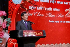 Ông Hoàng Đình Thắng, Ủy viên Đoàn Chủ tịch Ủy ban Trung ương Mặt trận Tổ quốc Việt Nam, Chủ tịch Liên hiệp Hội người Việt Nam tại châu Âu. (Ảnh nhân vật cung cấp)