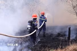 Lực lượng Cảnh sát phòng cháy chữa cháy và cứu nạn cứu hộ khẩn trương dập tắt cháy rừng. (Ảnh: TTXVN phát)