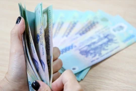 Ảnh minh họa. (Ảnh: PV/Vietnam+)