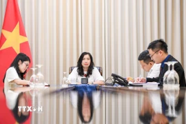 Thứ trưởng Lê Thị Thu Hằng tại cuộc điện đàm. (Ảnh: TTXVN)