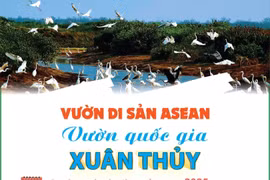 Vườn Quốc gia Xuân Thủy - Vườn di sản ASEAN