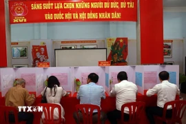 Cử tri tỉnh Khánh Hòa tự tay bầu chọn đại biểu Quốc hội khóa XVI và HĐND các cấp. (Ảnh: Xuân Triệu/TTXVN)