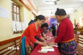 Cử tri tỉnh Nghệ An, làm thủ tục bỏ phiếu sớm. (Ảnh: Trịnh Duy Hưng/TTXVN)