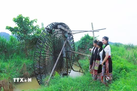 Thiếu nữ dân tộc Thái bên cọn nước. (Ảnh: Xuân Tiến/TTXVN)
