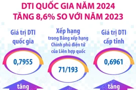DTI quốc gia năm 2024 tăng 8,6% so với năm 2023