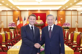 Tổng Bí thư Tô Lâm tiếp Tổng thống Pháp Emmanuel Macron. (Ảnh: Thống Nhất/TTXVN)
