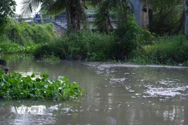 Dòng nước ô nhiễm từ các hoạt động sản xuất trên địa bàn thị xã Hòa Thành chảy qua Rạch Rễ Dưới rồi đổ vào sông Vàm Cỏ Đông. (Ảnh: Minh Phú/TTXVN)