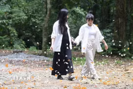 Vườn Quốc gia Cúc Phương những ngày này được giới trẻ tung hô là "tọa độ sống ảo" bởi vẻ đẹp được thiên nhiên ban tặng. (Ảnh: Hải Yến/TTXVN)