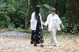 Vườn Quốc gia Cúc Phương những ngày này được giới trẻ tung hô là "tọa độ sống ảo" bởi vẻ đẹp được thiên nhiên ban tặng. (Ảnh: Hải Yến/TTXVN)