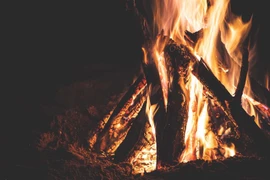 Ảnh minh họa. (Nguồn: Shutterstock)