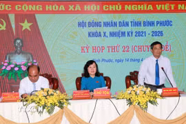 Phó Chủ tịch Hội đồng Nhân dân tỉnh Huỳnh Hữu Thiết phát biểu tại cuộc họp. (Ảnh: Đậu Tất Thành/TTXVN)