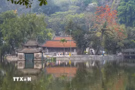 (Ảnh: Khánh Hòa/TTXVN)