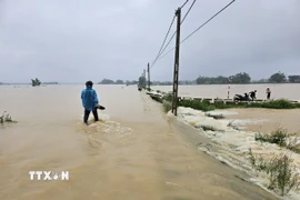 Nước sông Bùi lên cao. (Ảnh: Phương Anh/TTXVN)