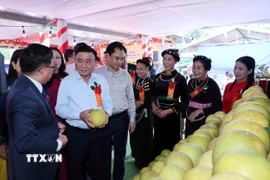 Thường trực Ban Bí thư Trần Cẩm Tú thăm gian trưng bày sản phẩm nông nghiệp của thôn Hồ Sen và thôn Ngòi Lẻn, xã Thác Bà. (Ảnh: Phương Hoa/TTXVN)