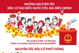 Những nguyên tắc bầu cử đại biểu Quốc hội, đại biểu Hội đồng nhân dân