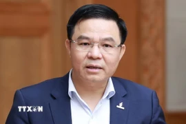 Ông Lê Mạnh Hùng, Quyền Bộ trưởng Bộ Công Thương làm Phó Trưởng ban thường trực thay thế ông Nguyễn Hồng Diên. (Ảnh: Dương Giang/TTXVN)