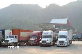 Ảnh minh họa. (Ảnh: Quang Duy/TTXVN)