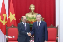 Tổng Bí thư Tô Lâm tiếp Đại sứ Ấn Độ tại Việt Nam Sandeep Arya. (Ảnh: Thống Nhất/TTXVN)