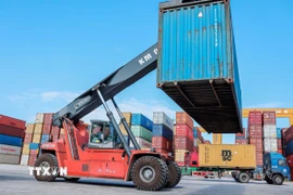 Hoạt động bốc dỡ, giao nhận container tại cảng . (Ảnh: Hoàng Hiếu/TTXVN)