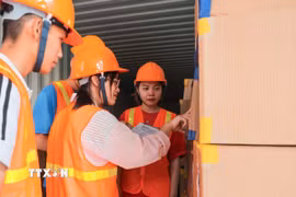 Thực hành quy trình nhập kho hàng hóa trong container tại Trung tâm logistics mới được xây dựng của Trường Cao đẳng Hàng hải I. (Ảnh: Hoàng Hiếu/TTXVN)