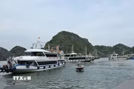 Tàu chờ đón khách tham quan Vịnh Lan Hạ tại Bến tàu khách du lịch Cái Bèo. (Ảnh: Minh Thu/TTXVN)