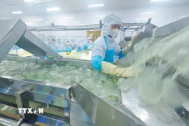 Ảnh minh họa. (Ảnh: Minh Quyết/TTXVN)