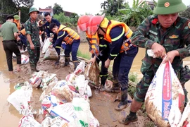 Các lực lượng Công an, Quân đội khẩn trương gia cố đê bối sông Cầu. (Ảnh: Trần Trang/TTXVN)