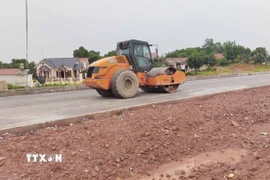 Ảnh minh họa. (Ảnh: Quân Trang/TTXVN)