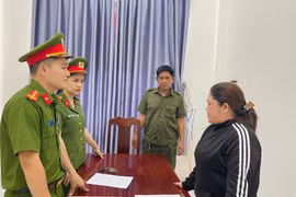 Trần Thị Tuyết Anh bị khởi tố, bắt tạm giam về hành vi trốn thuế. 