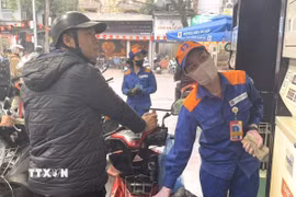 Hoạt động kinh doanh xăng dầu vẫn diễn ra ổn định. (Ảnh: Quốc Lũy/TTXVN)