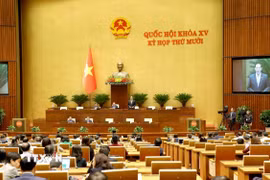 Quốc hội làm việc tại hội trường. (Ảnh: Phương Hoa/TTXVN)