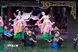 Nhà hát múa rối Việt Nam đã có nhiều đổi mới sáng tạo trong việc kết hợp múa rối cạn biểu diễn tại múa rối nước mang lại những tiết mục nghệ thuật đặc sắc tới khán giả. (Ảnh: Khánh Hòa/TTXVN)