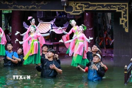 Nhà hát múa rối Việt Nam đã có nhiều đổi mới sáng tạo trong việc kết hợp múa rối cạn biểu diễn tại múa rối nước mang lại những tiết mục nghệ thuật đặc sắc tới khán giả. (Ảnh: Khánh Hòa/TTXVN)