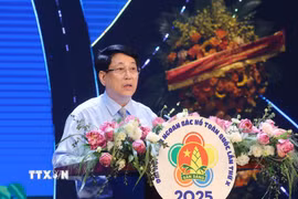 Chủ tịch nước Lương Cường phát biểu. (Ảnh: Lâm Khánh/TTXVN)