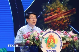 Chủ tịch nước Lương Cường phát biểu. (Ảnh: Lâm Khánh/TTXVN)