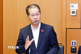 Chánh án Tòa án nhân dân Tối cao Nguyễn Văn Quảng, đại biểu Quốc hội Thành phố Đà Nẵng phát biểu. (Ảnh: Doãn Tấn/TTXVN)