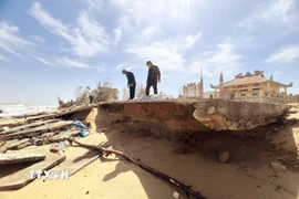 Bờ biển xã Bắc Trạch bị sóng biển xâm thực nghiêm trọng, cuốn trôi rừng phòng hộ và phá hủy các công trình nơi đây. (Ảnh: Nguyên Linh/TTXVN)