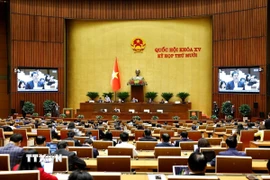 Quang cảnh phiên họp. (Ảnh: Doãn Tấn/TTXVN)