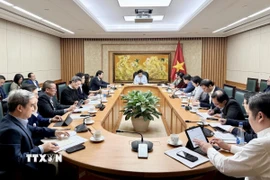 Phó Thủ tướng Nguyễn Chí Dũng chủ trì cuộc họp. (Ảnh: TTXVN phát)
