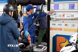 Khách hàng mua bán xăng, dầu tại một điểm kinh doanh xăng dầu của Petrolimex trên địa bàn Hà Nội. (Ảnh: Trần Việt/TTXVN)