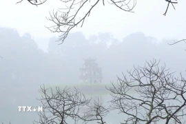 Ảnh minh họa. (Ảnh: Mai Hiền/TTXVN phát)