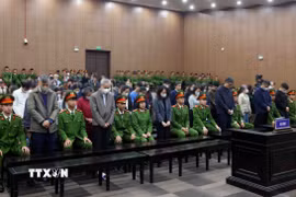 Các bị cáo nghe tòa tuyên án. (Ảnh: Phạm Kiên/TTXVN)