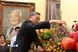 Tổng Bí thư Tô Lâm dâng hương tưởng nhớ Đại tướng Võ Nguyên Giáp. (Ảnh: TTXVN)