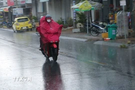 Ảnh minh họa. (Ảnh: Tuấn Phi/TTXVN)