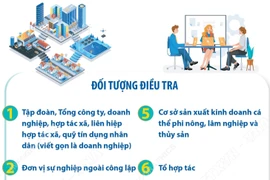 Tổng điều tra kinh tế trên toàn quốc từ 5/1/2026