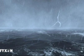 Ảnh minh họa. (Nguồn: TTXVN phát)