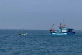 Ảnh minh họa. (Nguồn: TTXVN phát)